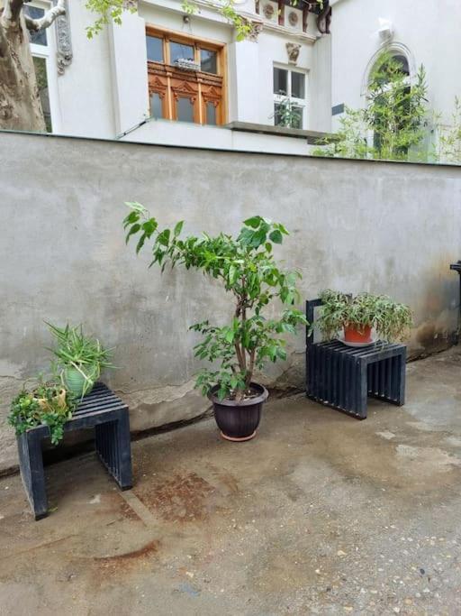 Cozy Apartment Near City Center Bucarest Exterior foto
